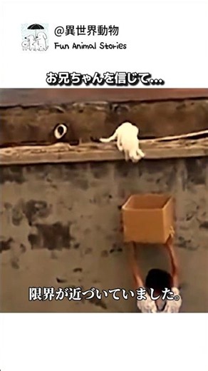 He never gave up despite his trembling legs: The world's most heartwarming "7-minute miracle" #Li...