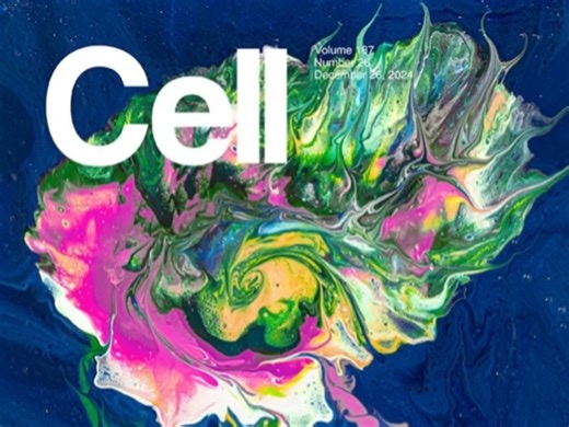 2024最后一弹：Cell Press十二月封面合集