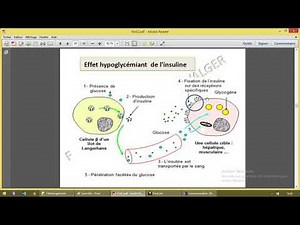 Communication cellulaire 5 récépteurs enzymatiques