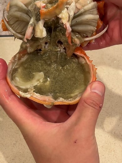 カニミソの無駄のない食べ方と魅力的なカニの料理方法