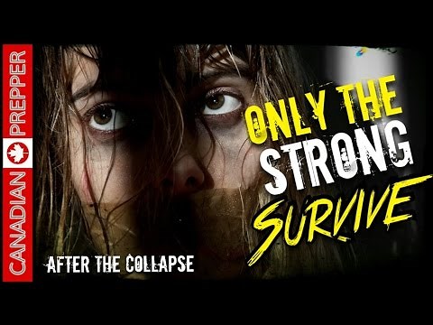 After the Collapse: How to Survive Longer in SHTF