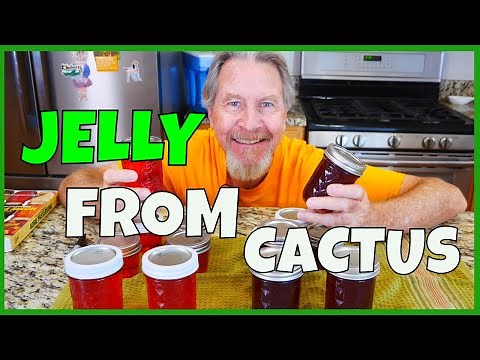 Complete Guide to Prickly Pear Jelly