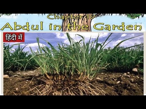 Abdul In The Garden - Class 4 EVS Chapter 19 हिंदी में | NCERT class 4 EVS