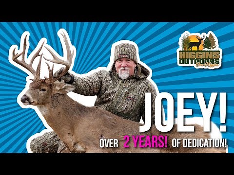 Joey! The whitetail deer that was meant to be for Don Higgins!