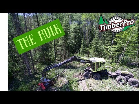 TimberPro TF830C Combo Harvester/Forwarder... The Hulk