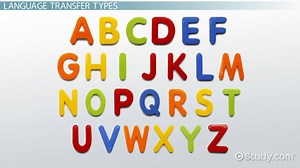Language Transfer Types, Importance & Examples - Video | Study.com