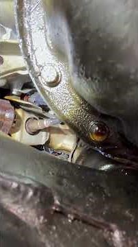 LS430 bank 1 sensor 1 TIPS