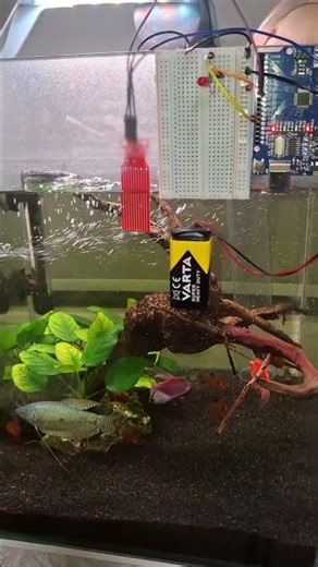 This Alarm Saves My Aquarium