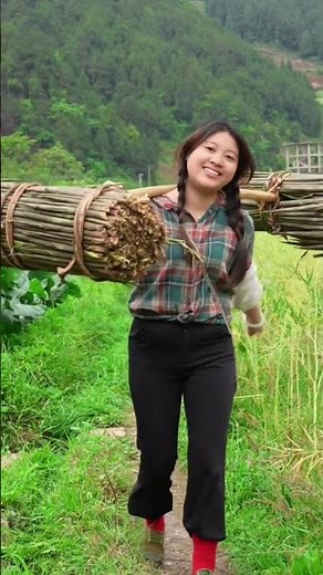 The beauty of labor of a pretty peasant girl. #countrylife #pretty #country #vlog #countryside #girl