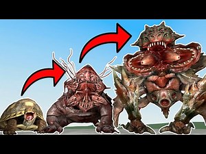 NEW TURTLE ZOOCHOSIS TITAN MUTANT In Garry's Mod