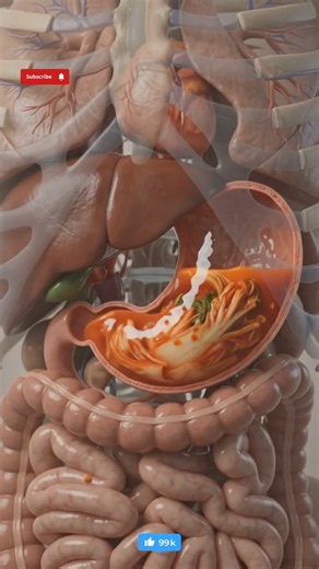 What Happens to Your Microbiome When You Eat Kimchi Every Day? 🥬🦠 | Gut Health Explained #kushiyaki