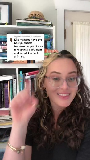 Different Types of Orcas Explained