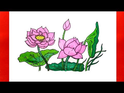 Cách vẽ hoa sen đơn giản - Vẽ hoa sen đẹp nhất - Vẽ tranh hoa sen - Duy Hiếu