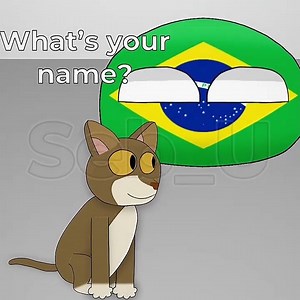 Cat Breeds From Different Countries