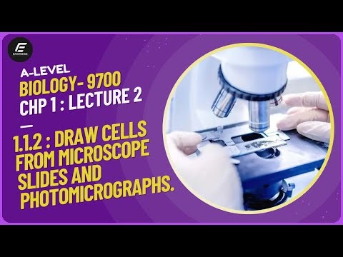 A-Level Biology (9700) | 1.1.2 How to Draw Cells from Microscope Slides & Photomicrograph | ExamEdge