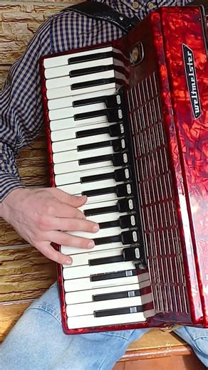 Time Back – Bad Style – Accordion Cover 🪗 #akkoplay #accordioncover #foryou