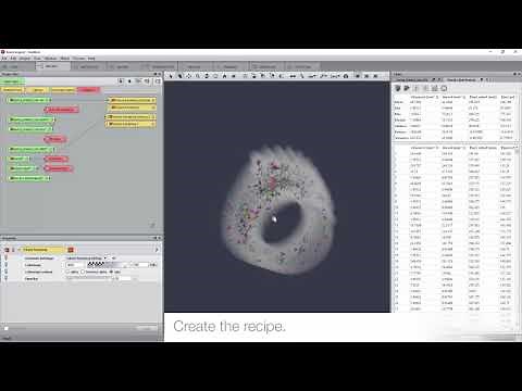 Amira-Avizo How To | Create a Recipe