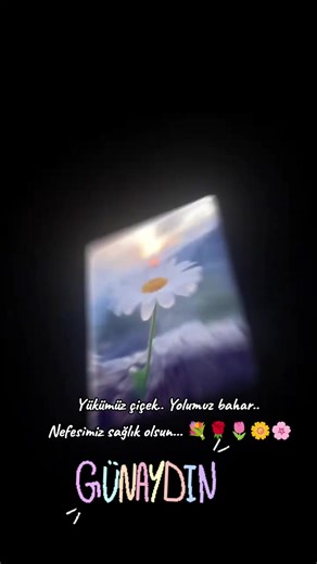 Arass_1907 (@papatyalar_prensi) adlı kullanıcının orijinal ses - Arass_1907 ile oluşturduğu videoları