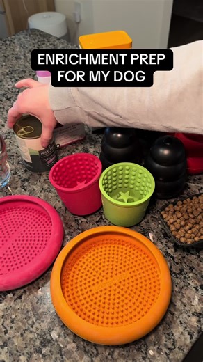 Weekly Enrichment Prep for My Doberman
