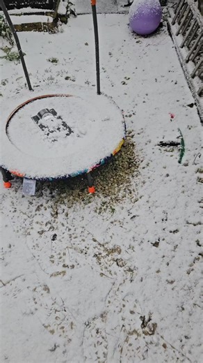 Creative Home Decor Ideas for Unique House Signs