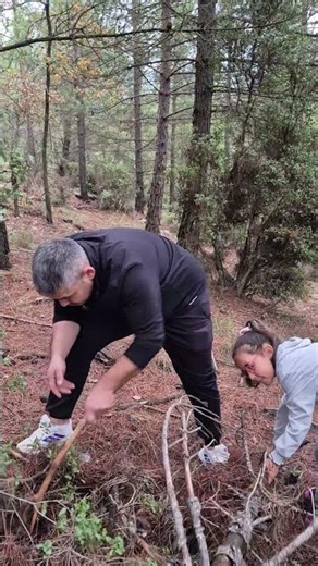 en zehirli mantarları arıyoruz 😳😳 #keşfet #funny