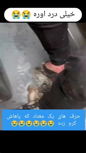 ‎عباس یاری‎ on Instagram‎: "در صورت تمایل اعلام پاکی کنید ؟؟؟خدایا خودت کمک تمام همدرد های عزیز مصرف کننده ایران زمین کن 😭😭😭😭😭😭 #انجمن_معتادان_گمنام #معتادان_گمنام #فقط_برای_امروز #اعتیاد_در_ایران #کارتن_خواب #همدرد #کمک_یک_همدرد_به_همدرد_دیگر #کمک_یک_معتاد_به_معتاد_دیگر #کمپ_قاصدک_آرزوها #بهبودی #بهبودیافتگان_اعتیاد #اعتیاد_موادمخدر #اعتیاد #معتاد #انجمن #لغزش #پاکزیستن_سفر_ادامه_دارد #پاکزیستن #چگونگی_عملکرد #اعتیاد_جرم_نیست_یک_بیماریست #خداوندا_آرامشی_عطا_فرما_تا_بپذیرم_آنچه_را_که_نمیتو