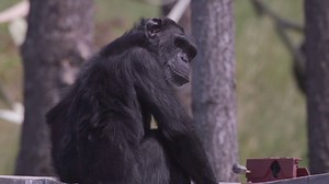 4.8K views · 41 reactions | Congratulations to producer Aileen...