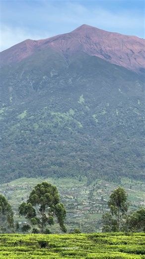 Menikmati Keindahan Gunung Kerinci di Jambi