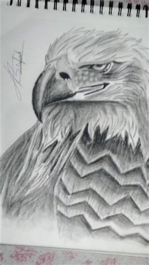 eagle Transformation⚠️💀 #active Draws