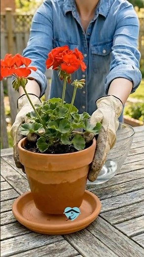 Smart Watering Idea for Potted Plants