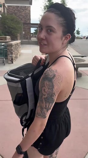 BREAKING NEWS! Pugsley hates halloween This is a pet friendly store #catsofinstagram #adventurecat #cats #Halloween #blackcatsofinstagram | Purfect Pose