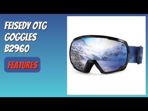 REVIEW (2026): FEISEDY OTG Goggles B2960. Features