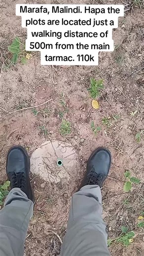 These Malindi plots for sale are just what you need to secure your future. Located just 500m from the Marafa-Magarini Tarmac, accessibility never felt this easy. Come join your neighbors in this secure area. Only a few plots remain, just call/text 0706336533 #plotsforsaleinmalindi #malindiplotsforsale #magariniplotsforsale #plotsforsale #malindiplots