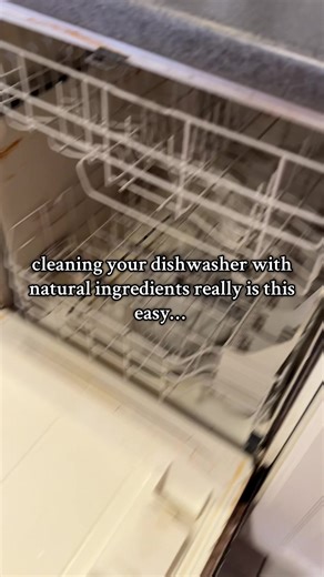 Effective Dishwasher Cleaning Tips with Natural Ingredients