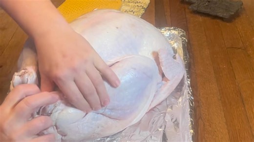 A delicious Roasted Turkey doesn’t have to be difficult. This seven minute tutorial walks you through, step by step, to achieve a flavorful and moist turkey you will be proud to present. #thehenterskitchen #cooking #thanksgiving | The Hensters Kitchen