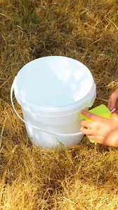 Reutilize Criativamente: Ideias Úteis para Baldes Velhos | Ideias Incríveis