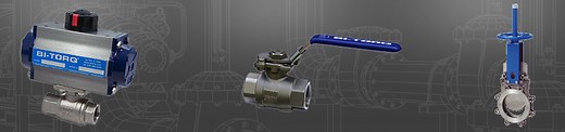 Bi-Torq Valve Automation - Anderson Process