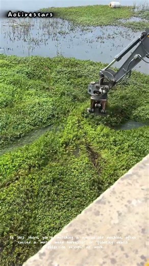 Robot Arm Cleans Rivers: The Future of Waterways