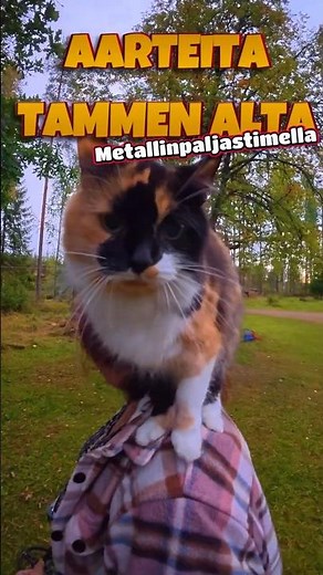 Tammi paljasti aarteitaan – Metallinpaljastin ja kissa apuna 😅