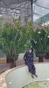 5.8K views · 116 reactions | Hổ Mang chớp khủng, e có cây nhỏ #hoalandep # hoalan | hoalandep.com | Facebook