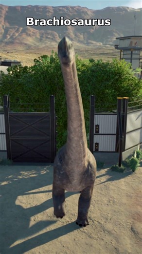 T Rex Big Eatie & Ember VS Brachiosaurus #dinosaur #jurassicworld #jurassicpark #jwe2 #jwe3