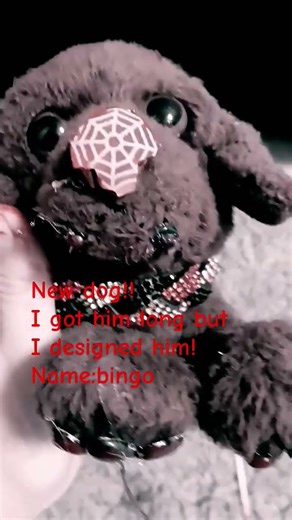 this halloween dog is bingo sorry i didnt post for halloween cuz i were searching for a dog