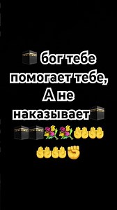 15 декабря 2025 г.