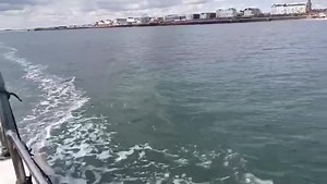 73K views · 1.7K reactions | Bridlington’s Dolphin Bay... Wow. Just...