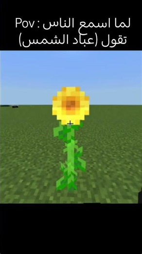 اخر واحد يشارك بلترند 😎👍🏻 #minecraft #ماين_كرافت #memes