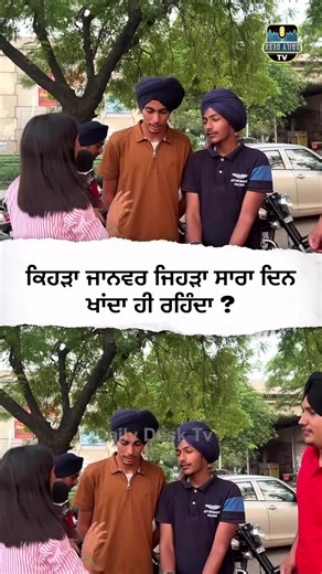 Daily Desk TV on TikTok