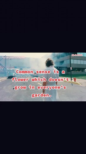 Exploring Martin Costa Quotes on Common Sense