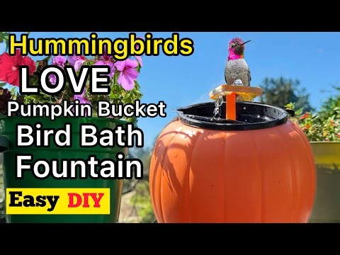 How To Make Hummingbird Bird Bath Pumpkin Bucket Water Fountain Solar Powered / USB Battery PORTABLE