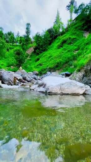 Nature’s Serenity: Clear Stream with Plastic Bottles