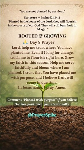 Rooted & Growing: Planted With Purpose (Day 8 Prayer) #newseries #prayer #stayconnected